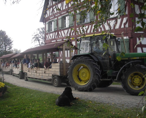 Apfelzügle Apfelzügle